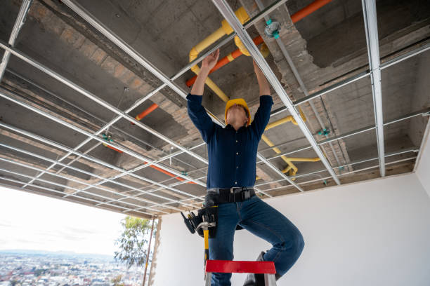 Best Affordable Plumber Near Me  in Hainesvle, IL