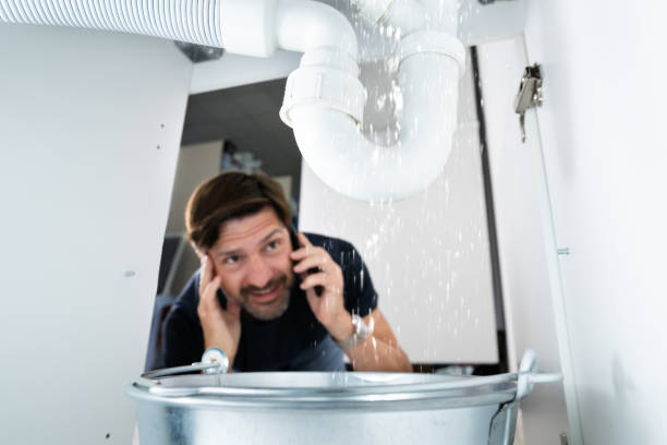 Best Sewer Line Repair  in Hainesvle, IL