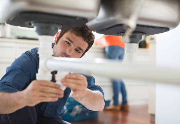 Best Same-Day Plumbing Service  in Hainesvle, IL