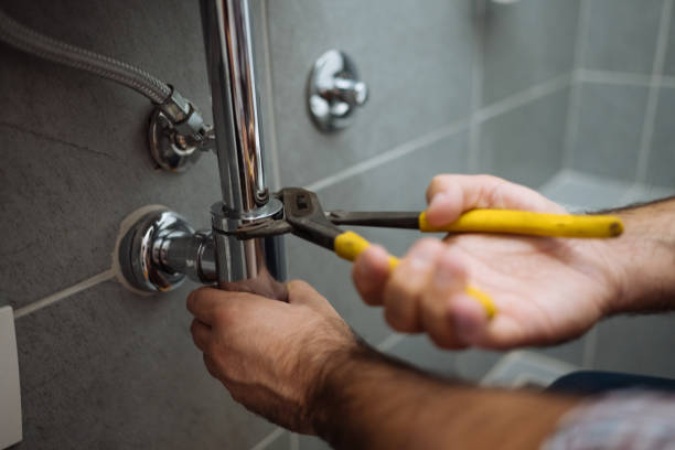 Best Toilet Repair Services  in Hainesvle, IL