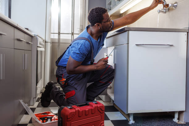 Best Clogged Drain Plumber  in Hainesvle, IL
