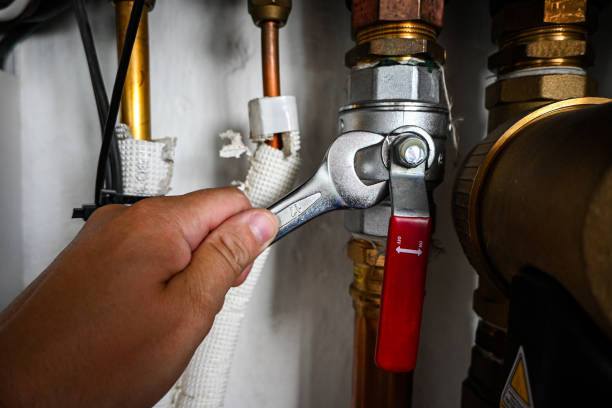 Best Residential Plumbing Services  in Hainesvle, IL